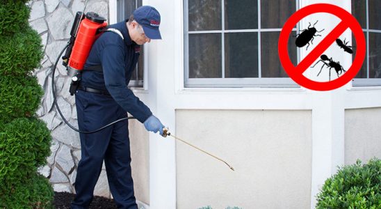 Sinop Akrep İlaçlama böcek ilaçlama ve haşere kontrolü — ilaclama-tr.com